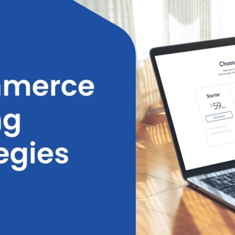 Ecommerce Pricing Strategies